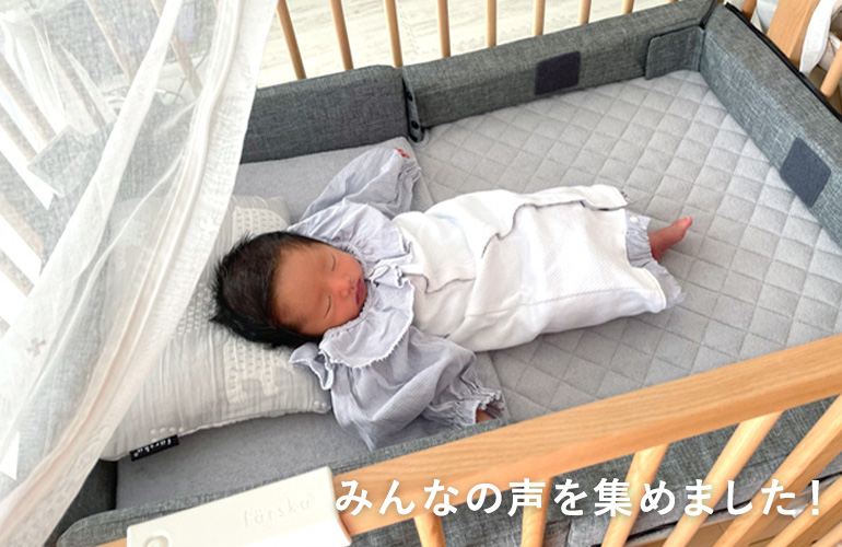 ファルスカフラッグシップラインのレビュー紹介